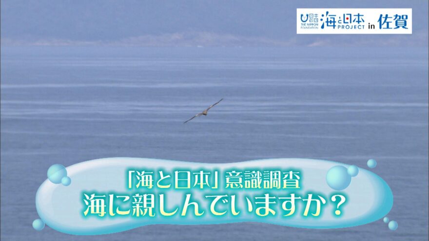 「海と日本」意識調査～海に親しんでいますか？～