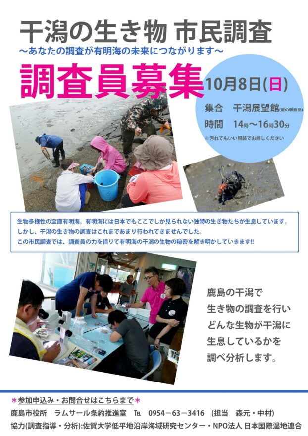 干潟の生き物市民調査　調査員募集