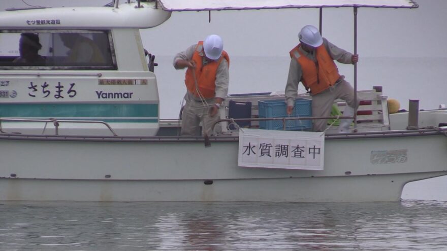 海水浴場で水質検査