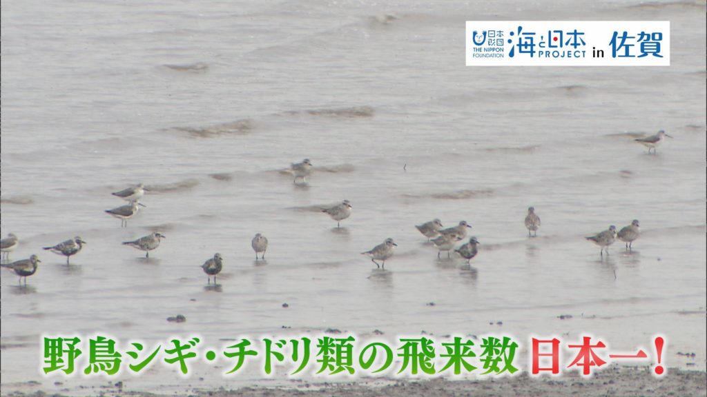 海と日本PROJECT in 佐賀