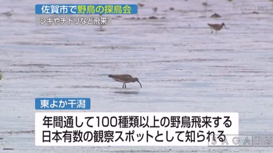 佐賀野鳥の会が探鳥会を開催