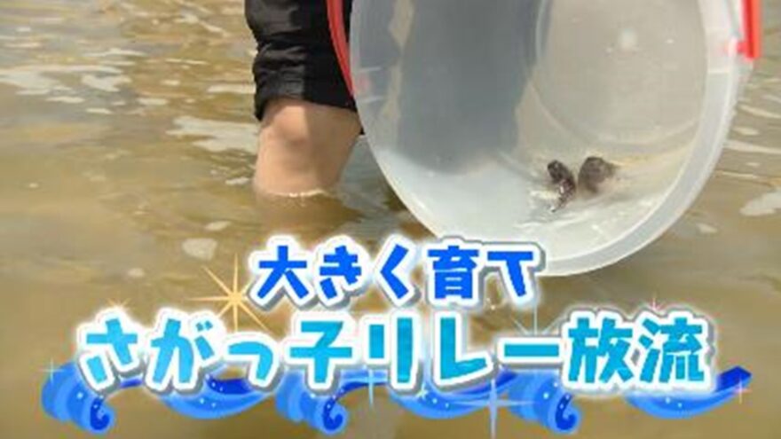 大きく育て　さがっ子リレー放流