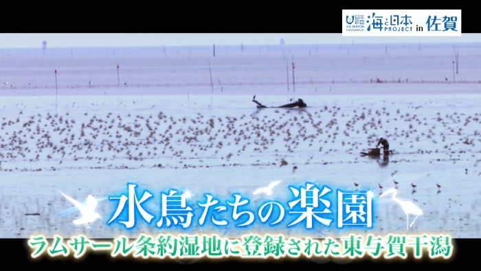 水鳥たちの楽園～ラムサール条約湿地に登録された東よか干潟～