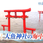佐賀県-A・01＋絶景！大魚神社の海中鳥居01