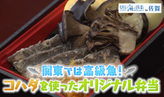 佐賀県-A・23＋関東では高級魚！コハダを使ったオリジナル弁当01